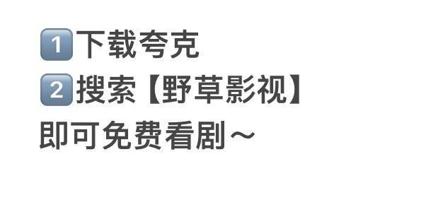 《扫毒风暴》高清4k免费在线观看