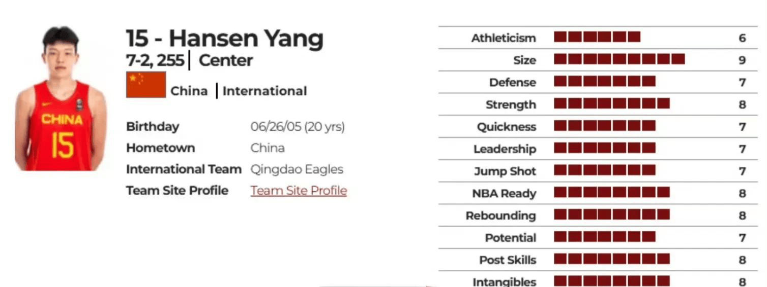 杨瀚森选秀模板为王治郅，球探报告得分高于周琦，仅次于易建联！