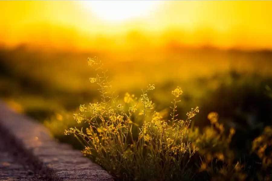 赣超联赛第三轮进球盛宴赣州队刷新最快进球纪录