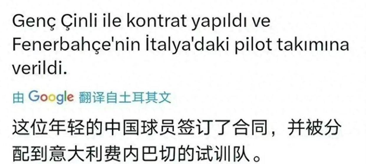 中国球员加盟意甲！加比或迎良机